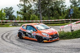 55° Rally Friuli Venezia Giulia - www.davidenicelli.com